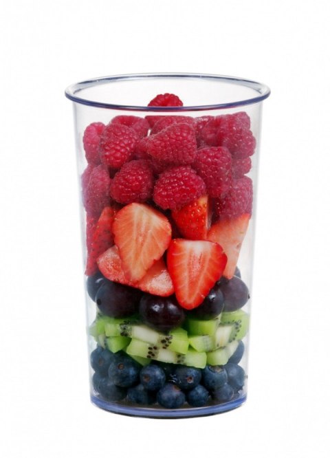 Concept Blender ręczny TM5500