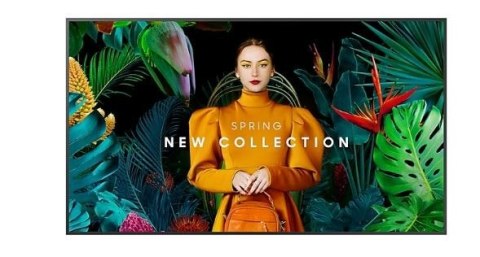 Samsung Monitor profesjonalny QH65C 65 cali Matowy 24h/7 700(cd/m2) 3840 x 2160 (UHD) S10 Player (Tizen 7) WiFi/BT 3 lata On-Site (LH65Q