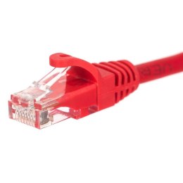 Patchcord RJ45, Netrack osłonka zalewana, kat. 6 UTP, 2m czerwony