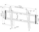 Neomounts Uchwyt ścienny WL35-550BL16 40-75 cali