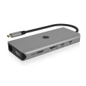 IcyBox Stacja dokująca IB-DK4061-CPD 12w1,2xHDMI, PD 100W