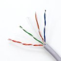 Qoltec Kabel sieciowy/skrętka UTP | CAT6 | 305m