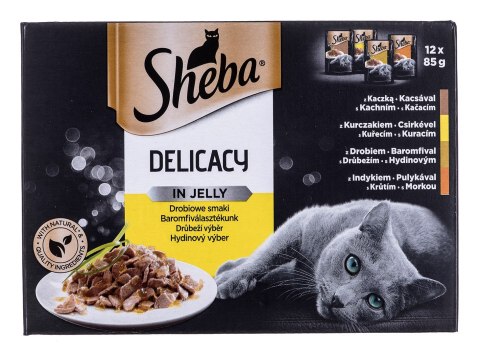 SHEBA Delicacy in Jelly Smaki Drobiowe - mokra karma dla kota - saszetka - 12x85 g