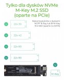 IcyBox Obudowa IB-1817M-C31 M.2 NVMe SSD
