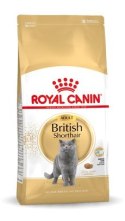 ROYAL CANIN FBN British Shorthair Adult - sucha karma dla dorosłego kota - 10kg