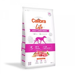 CALIBRA LIFE Adult Large Breed Lamb - karma dla psa - 12KG