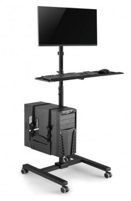 Wózek stand profesjonalny Maclean, mobilne stanowisko komputerowe na kółkach, max 17
