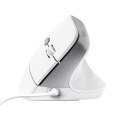 Trust Mysz ergonomiczna przewodowa Bayo II biała