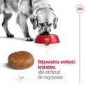 ROYAL CANIN SHN Maxi Adult 5+ - sucha karma dla psa dorosłego - 15 kg