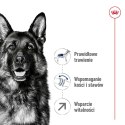 ROYAL CANIN SHN Maxi Adult 5+ - sucha karma dla psa dorosłego - 15 kg