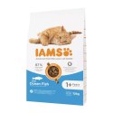 IAMS Vitality adult cat ocean fish - sucha karma dla kota - 10 kg