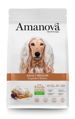 Amanova Adult Medium Exquisite Chicken 2kg