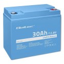 Qoltec Akumulator LiFePO4 Litowo-Żelazowo-Fosforanowy | 12.8V | 30Ah | 384Wh | BMS
