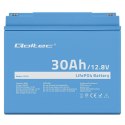 Qoltec Akumulator LiFePO4 Litowo-Żelazowo-Fosforanowy | 12.8V | 30Ah | 384Wh | BMS