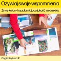 HP Wkład z atramentem czarnym matowym DesignJet 728 o pojemności 300 ml