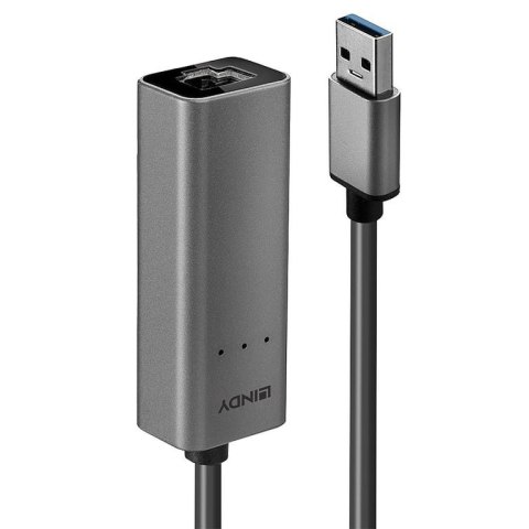 Lindy 43313 zmieniacz płci / kabli USB-A RJ-45 Srebrny