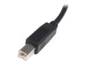 StarTech 0.5m, USB 2.0 A/USB 2.0 B, M/M kabel USB 0,5 m USB A USB B Czarny