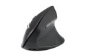 Kensington Pro Fit Ergo MY630 EQ myszka Biuro Po prawej stronie RF Wireless + Bluetooth + USB Type-A 2400 DPI