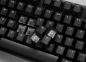 Ducky One 3 Aura klawiatura Gaming USB QWERTY Amerykański międzynarodowy Czarny