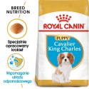 ROYAL CANIN BHN Cavalier King Charles Spaniel Puppy - sucha karma dla szczeniąt - 1,5 kg