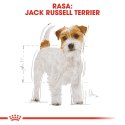 ROYAL CANIN BHN Jack Russell Terrier Adult - sucha karma dla psa dorosłego - 1,5kg