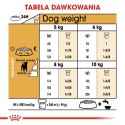 ROYAL CANIN BHN Jack Russell Terrier Adult - sucha karma dla psa dorosłego - 1,5kg