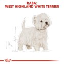 ROYAL CANIN BHN West Highland White Terrier Adult - sucha karma dla psa dorosłego - 3kg