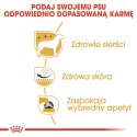 ROYAL CANIN BHN West Highland White Terrier Adult - sucha karma dla psa dorosłego - 3kg