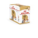 ROYAL CANIN BHN Yorkshire Terrier Adult - mokra karma dla psa dorosłego - 12x85g