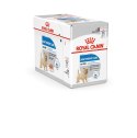 ROYAL CANIN CCN LIGHT WEIGHT CARE LOAF - mokra karma dla psa dorosłego - 12x85g