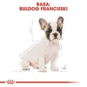 ROYAL CANIN BHN French Bulldog Puppy - sucha karma dla szczeniąt - 3kg