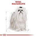 ROYAL CANIN BHN Maltese - sucha karma dla psa - 0,5kg