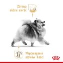 ROYAL CANIN BHN Pomeranian Adult - sucha karma dla psa dorosłego - 3kg