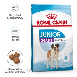 ROYAL CANIN SHN Giant Junior - sucha karma dla szczeniąt - 15kg