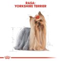 ROYAL CANIN Yorkshire Terrier 0,5kg