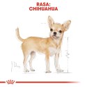 Royal Canin BHN Chihuahua Adult - sucha karma dla psa dorosłego - 1,5kg