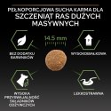 PURINA PRO PLAN Large Robust Puppy z formułą OPTISTART - sucha karma dla szczeniąt - 12 kg