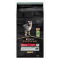 Purina Pro Plan Medium Puppy Sensitive OPTIDIGEST Jagnięcina 12kg