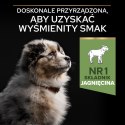 Purina Pro Plan Medium Puppy Sensitive OPTIDIGEST Jagnięcina 12kg