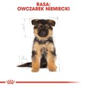 ROYAL CANIN BHN German Sh Puppy - sucha karma dla szczeniąt rasy owczarek niemiecki - 12 kg