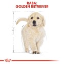 ROYAL CANIN BHN Golden Retriever Puppy - sucha karma dla szczeniąt - 3kg