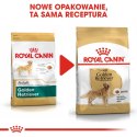 ROYAL CANIN BHN Golden Retriever - sucha karma dla psa dorosłego - 12 kg