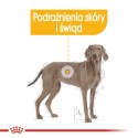 ROYAL CANIN CCN Dermacomfort Maxi - sucha karma dla psów ras dużych z wrażliwą skórą - 12 kg