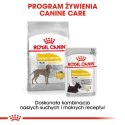 ROYAL CANIN CCN Dermacomfort Maxi - sucha karma dla psów ras dużych z wrażliwą skórą - 12 kg