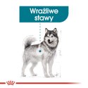 ROYAL CANIN CCN MAXI JOINT CARE - sucha karma dla psa dorosłego - 10kg