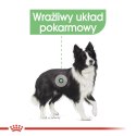 ROYAL CANIN CCN MEDIUM DIGESTIVE CARE - sucha karma dla psa dorosłego - 3kg