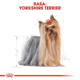 Royal Canin BHN Yorkshire Terrier Adult - sucha karma dla psa dorosłego - 1,5 kg