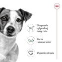 ROYAL CANIN Mini Adult 2kg