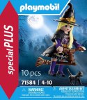 Playmobil SpecialPlus 71584 zestaw zabawkowy