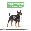 ROYAL CANIN CCN MINI DIGESTIVETIVE CARE - sucha karma dla psa dorosłego - 8kg